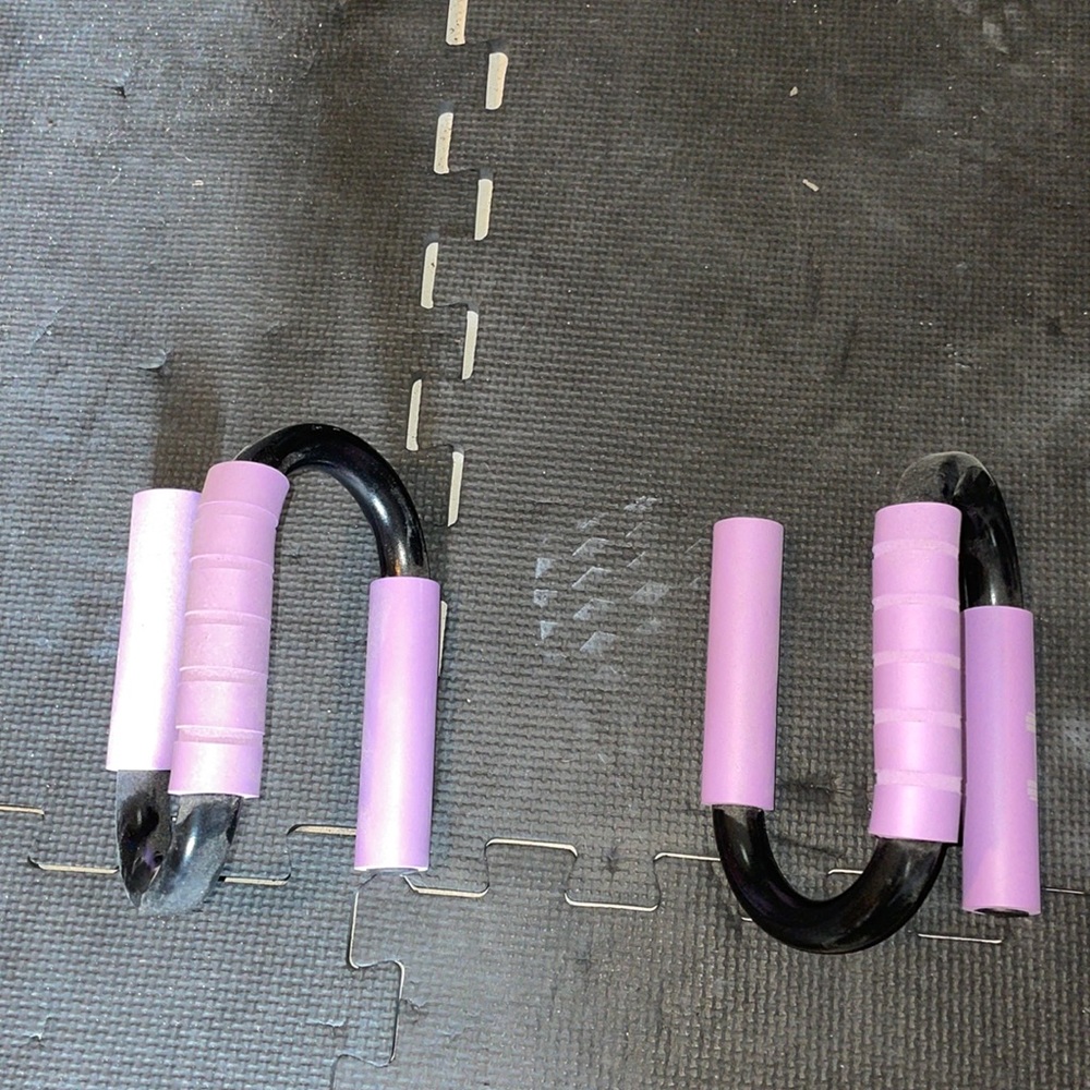 Push Up bars for home gym